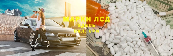 ГАЛЛЮЦИНОГЕННЫЕ ГРИБЫ Вязники