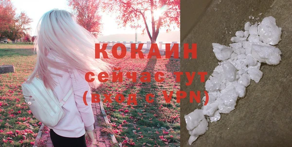ГАЛЛЮЦИНОГЕННЫЕ ГРИБЫ Вязники
