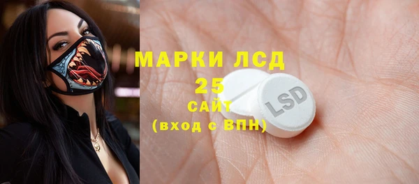 хмурый Вяземский