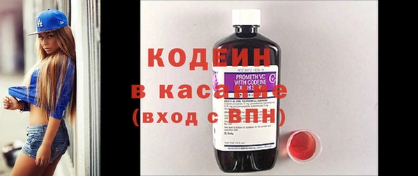 хмурый Вяземский