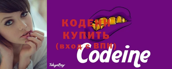 хмурый Вяземский