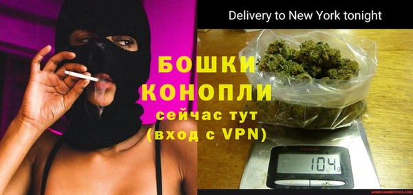 хмурый Вяземский