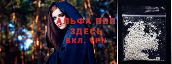 ГАЛЛЮЦИНОГЕННЫЕ ГРИБЫ Вязники